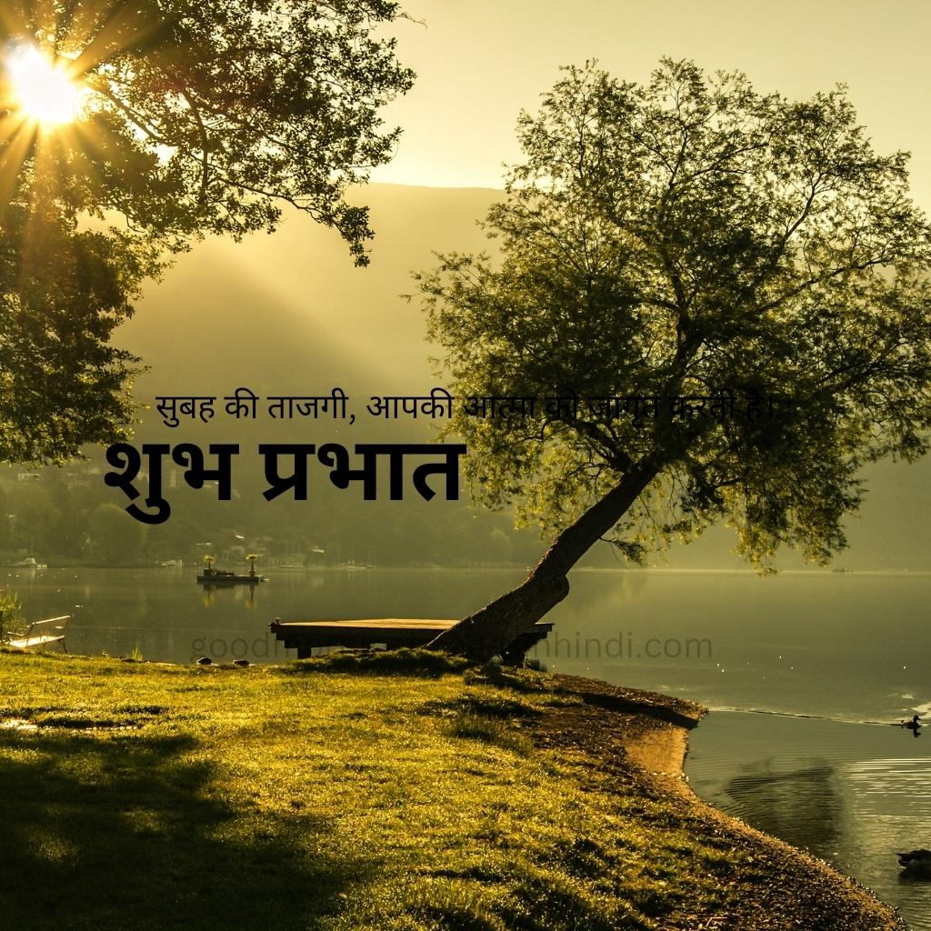 yellow sky, trees saying shubh prabhat good morning images in hindi