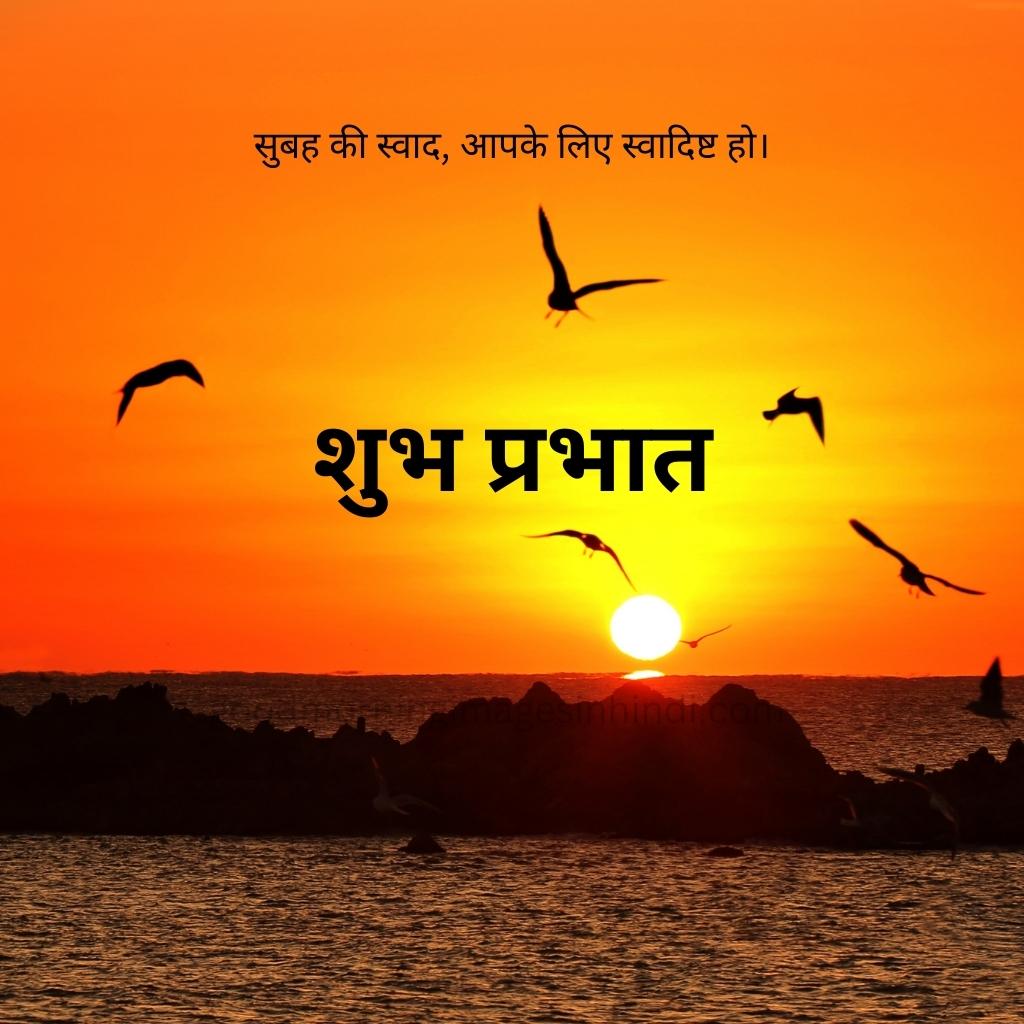 birds flying, yellow sky, reddish clouds, sunrising, ocean across, stones, saying shubh prabhat good morning images in hindi