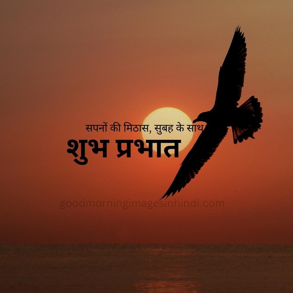 Shubh Prabhat! A vibrant yellow sun ignites a clear pinkish sky and a bird flying