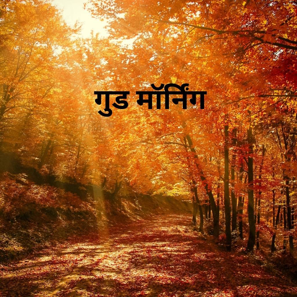 Mix collection of good morning images in hindi 50