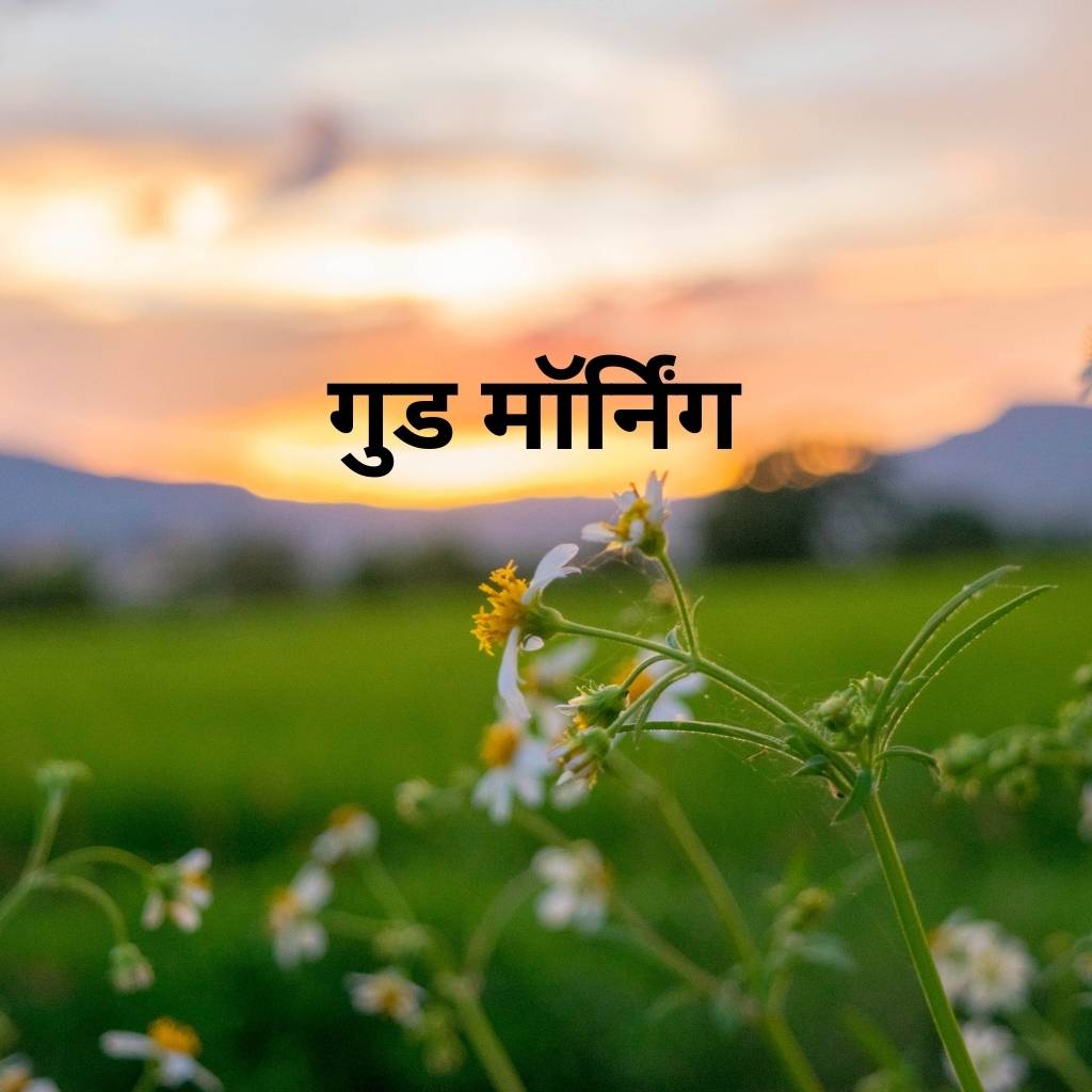 Mix collection of good morning images in hindi 55