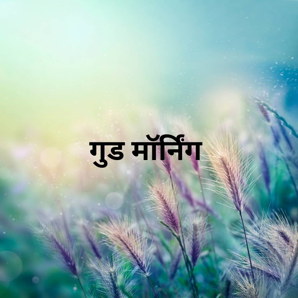 Mix collection of good morning images in hindi 64