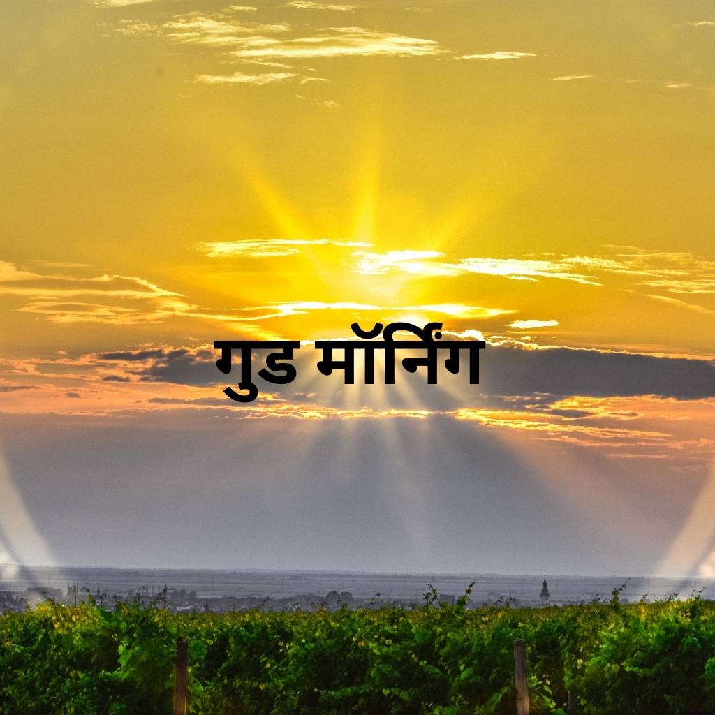 Mix collection of good morning images in hindi 65