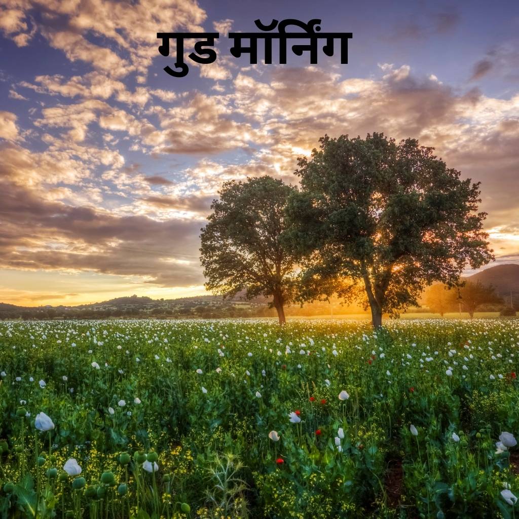 Mix collection of good morning images in hindi 68