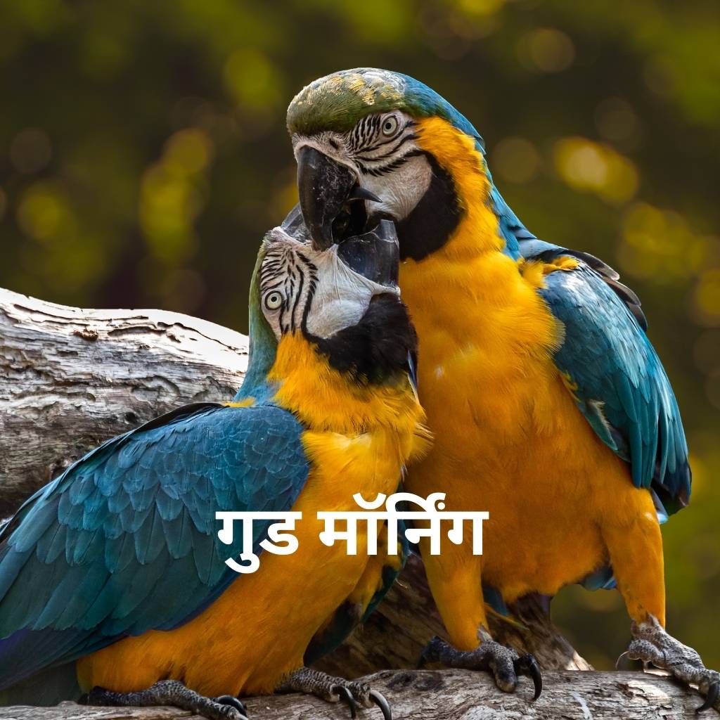 Mix collection of good morning images in hindi 70