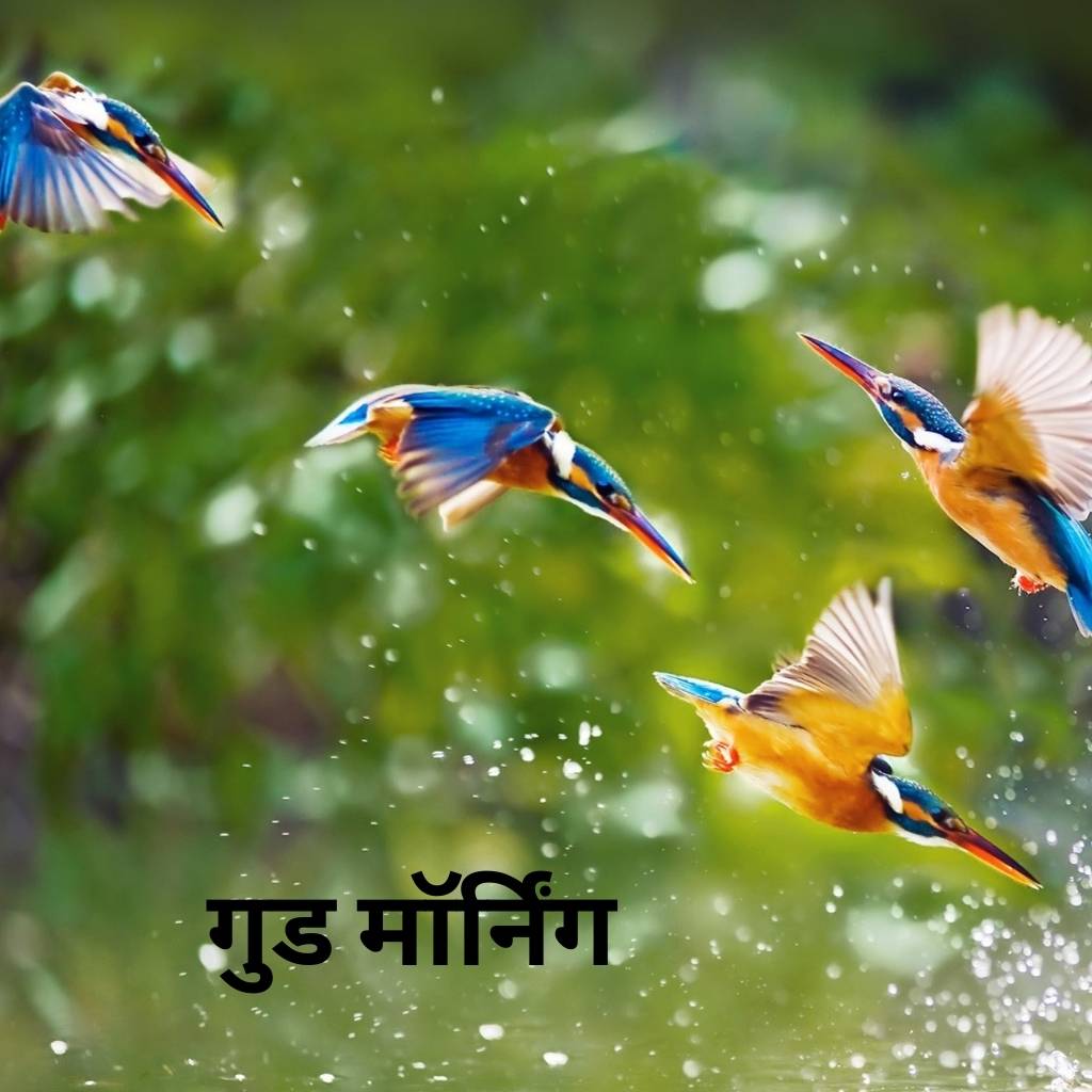 Mix collection of good morning images in hindi 76