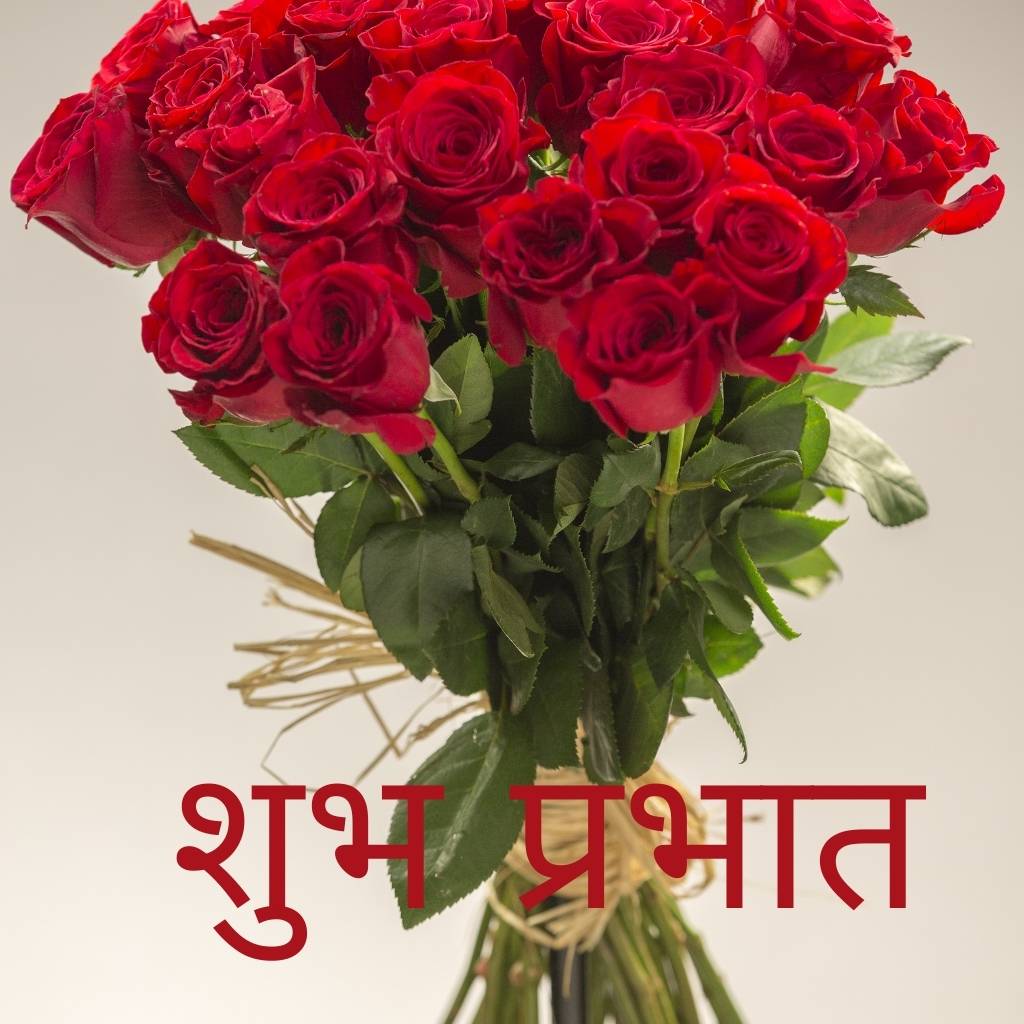 Good morning with a red rose bouquet.
