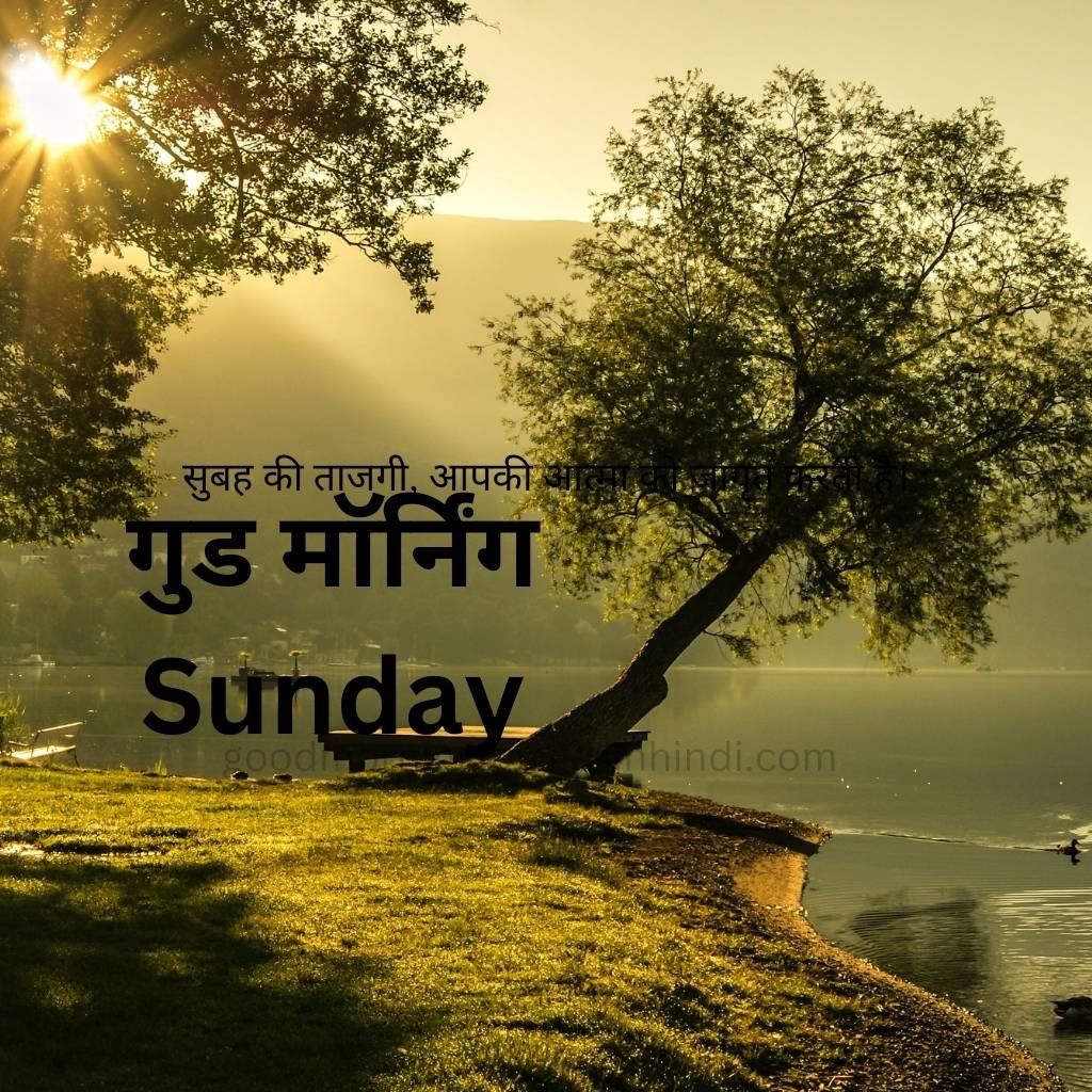 Sunday Good Morning Images In Hindi 19