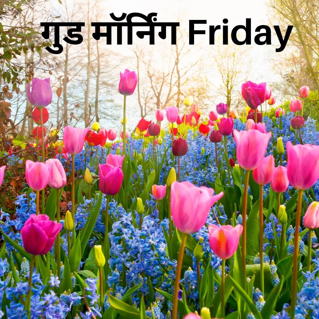 friday good morning images in hindi 4 1