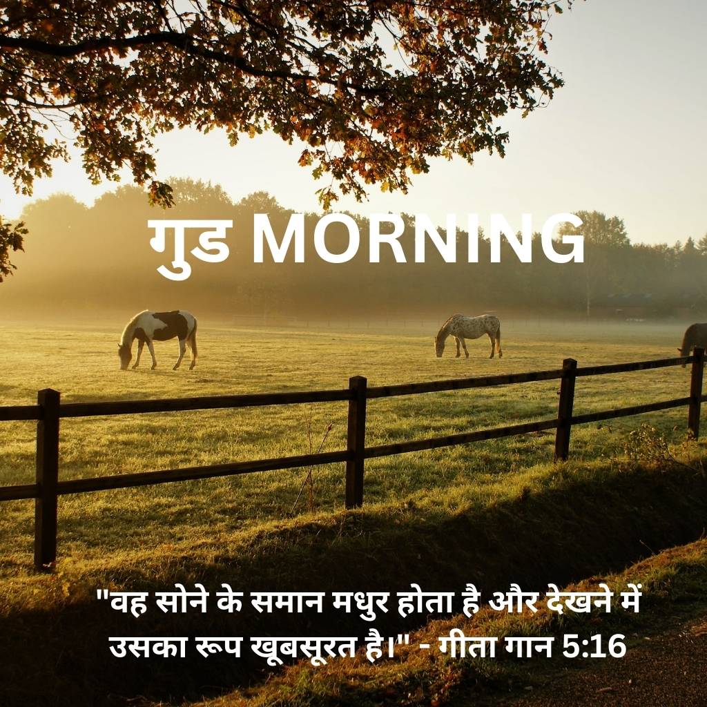 good morning images with bible verses in hindi 99 1