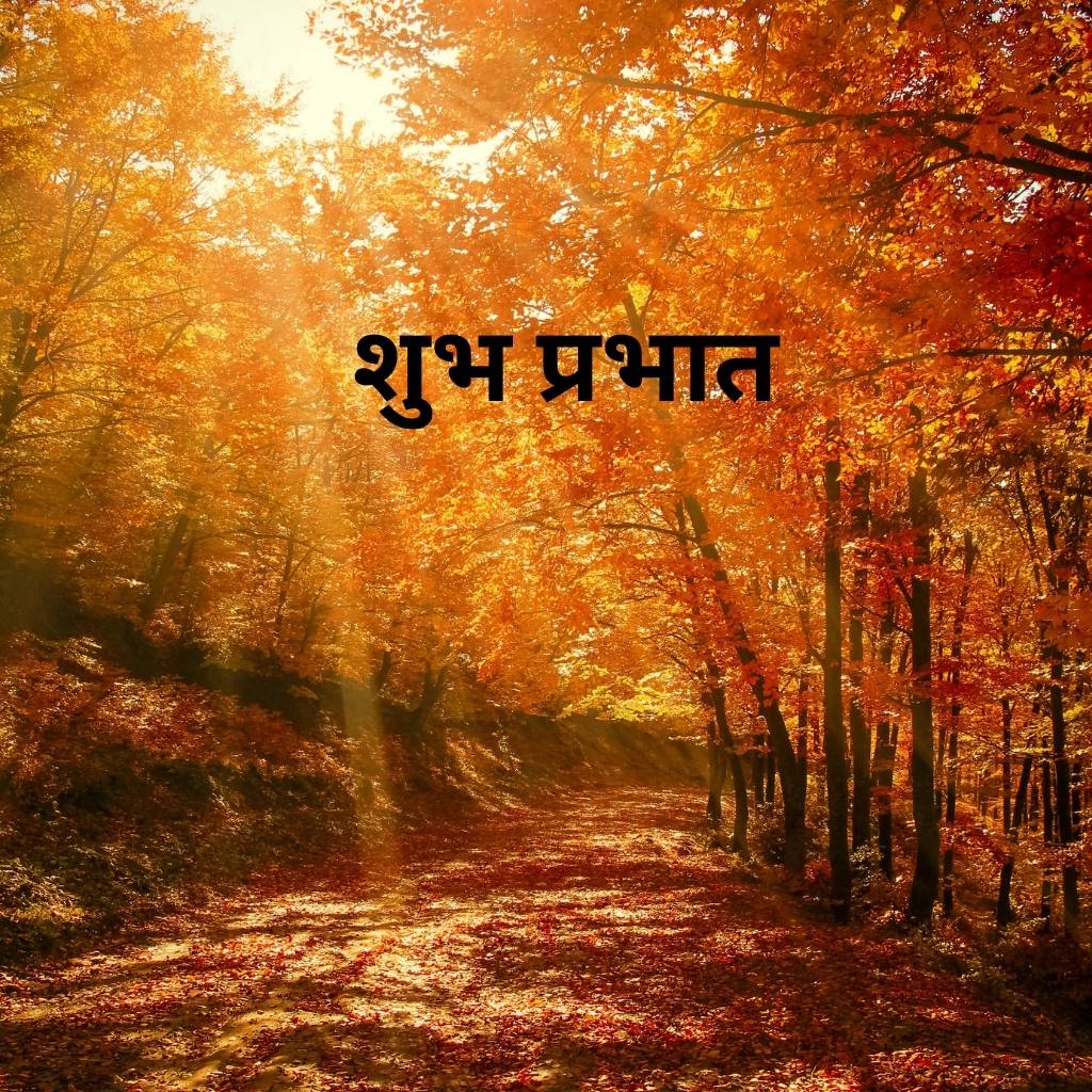 mix collection of good morning images in hindi 50 1