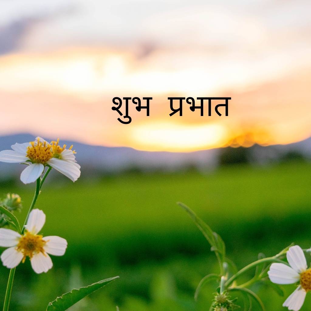 mix collection of good morning images in hindi 54 1