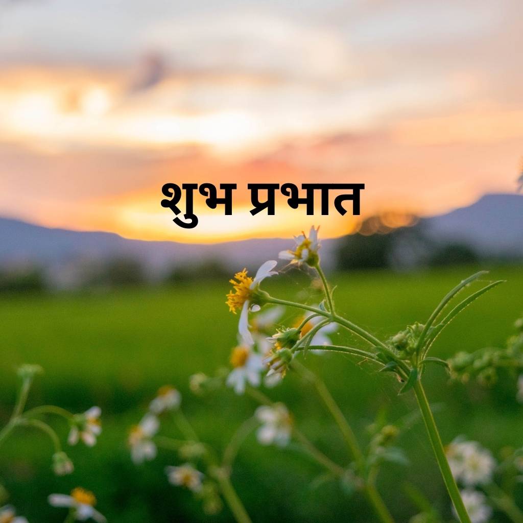 mix collection of good morning images in hindi 55 1