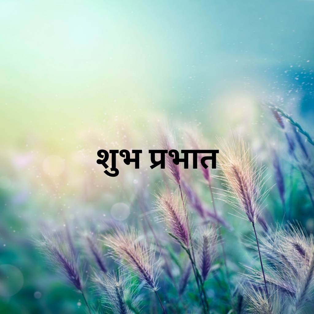 mix collection of good morning images in hindi 64 1