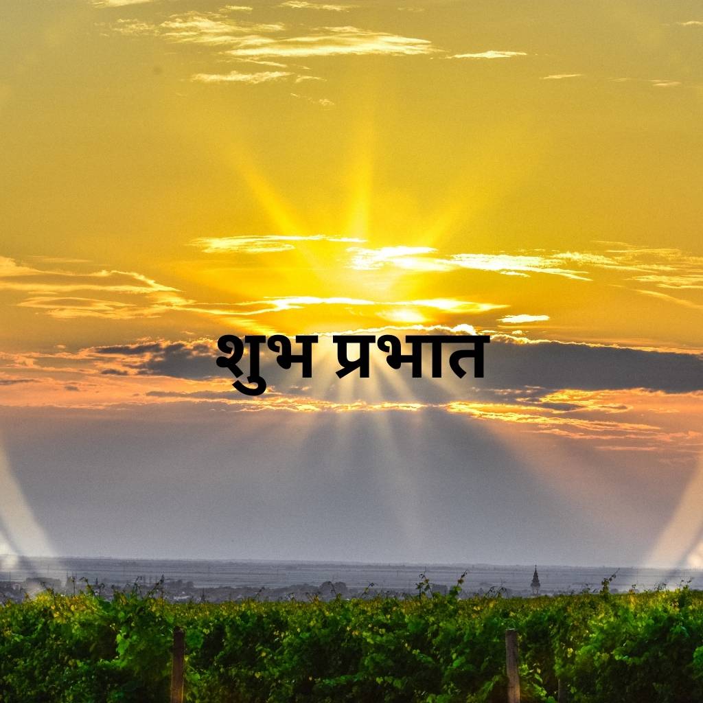 mix collection of good morning images in hindi 65 1