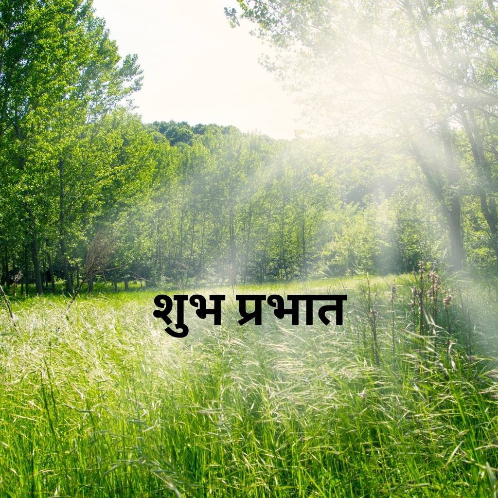 mix collection of good morning images in hindi 66 1