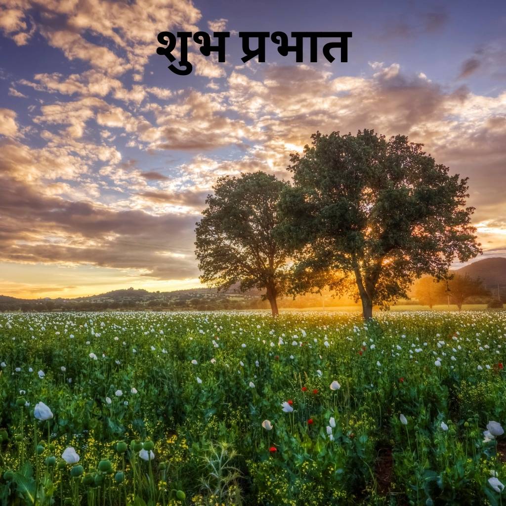 mix collection of good morning images in hindi 68 1