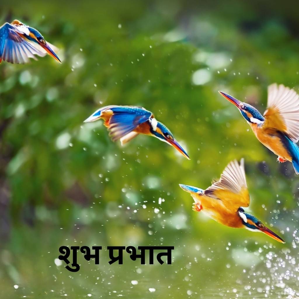 mix collection of good morning images in hindi 76 1