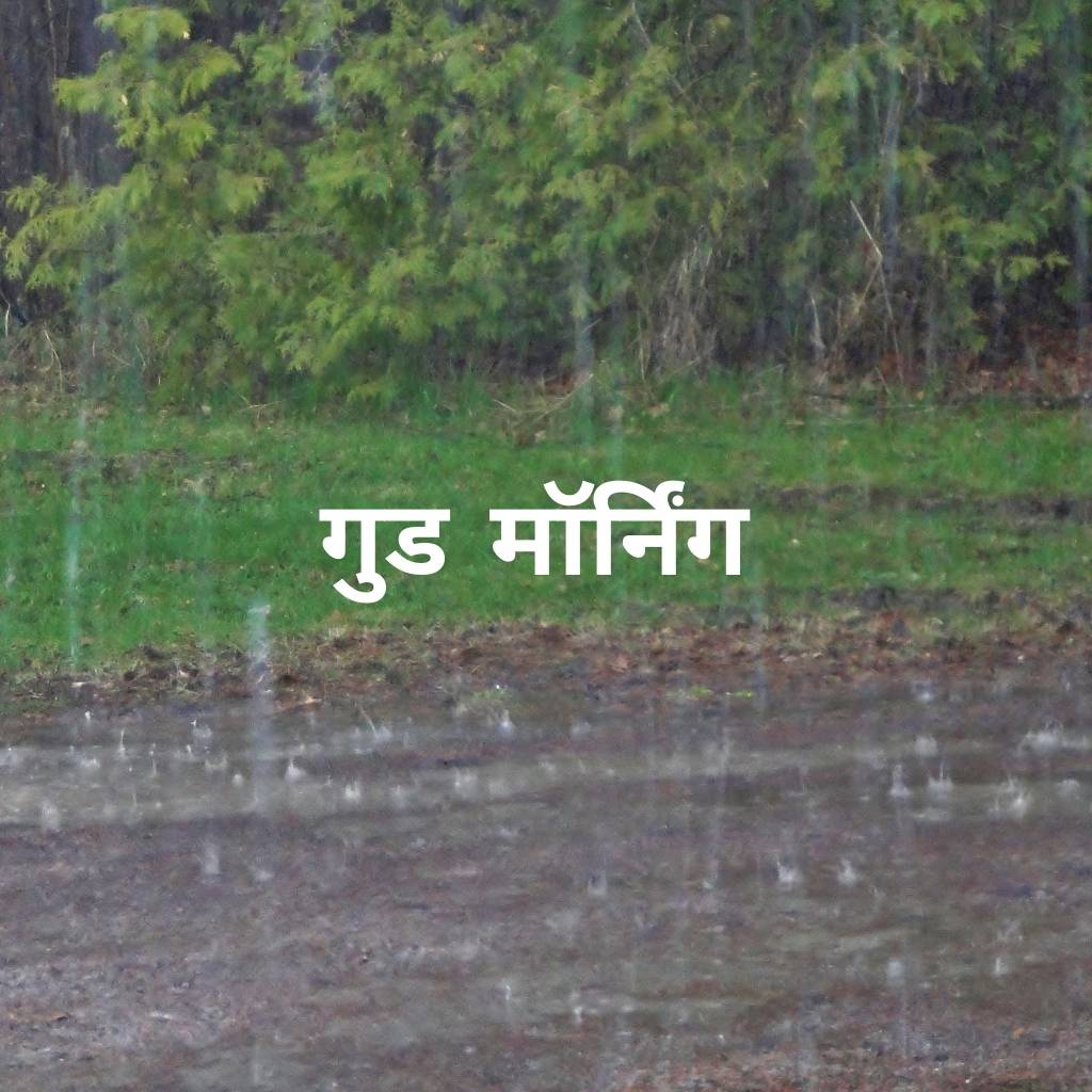 Good morning with rain
